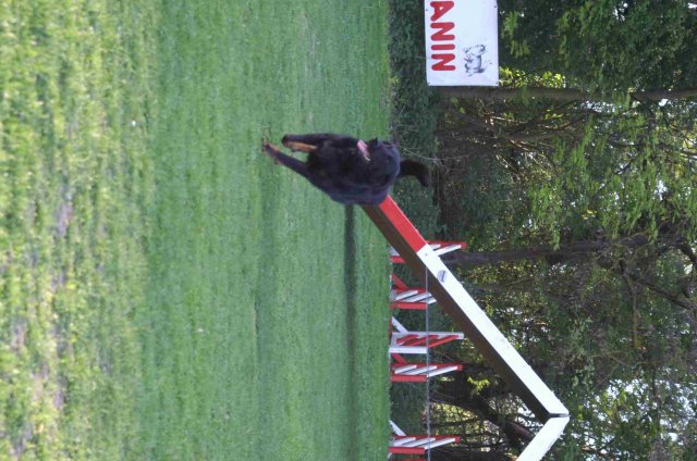 agility 2011-04